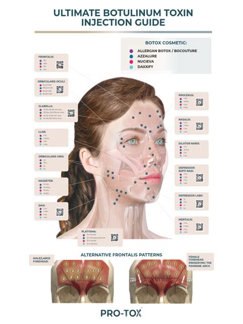 Image result for Botox Injection Guide