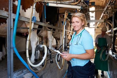 Tutorial Win Vet 的图像结果