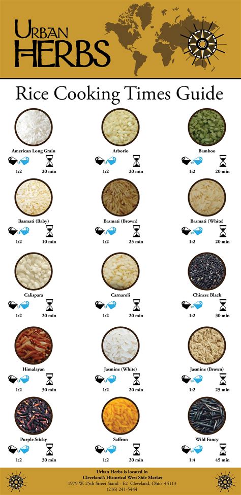 What Is The Proper Rice To Water Ratio at Ilene Hopson blog