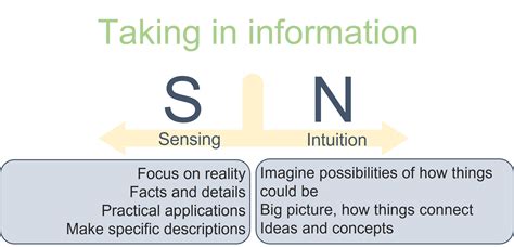 MBTI – S or N | Project Success