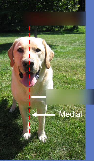 Image result for Tutorial for Reading Fpt7