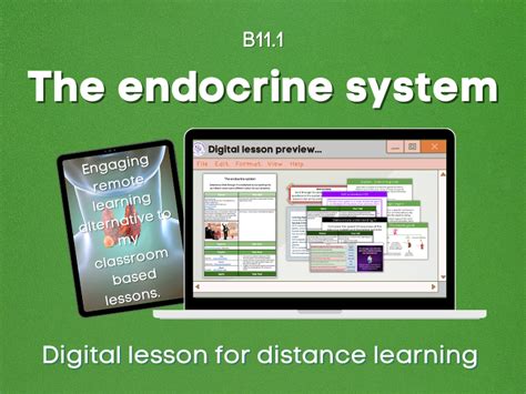 Image result for Endocrine System Grade 12 Lesson