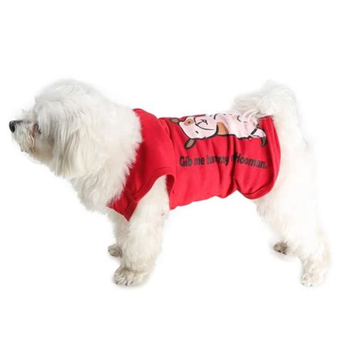 Summer Care Tips For Dogs | Barks & Wags