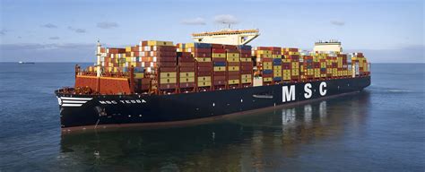 MSC Entrance Examination 2024