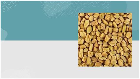 Fenugreek and Its Effects on Muscle Performance: A Systematic Review