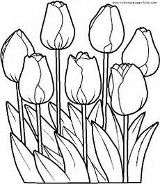 Tulip Coloring Pages by Coloring Pages For Tulip Coloring Pages For Tulip Coloring Pages