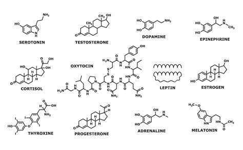 Hormones molecular formula structure line symbols | Premium Vector