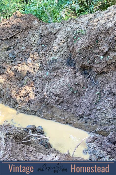 Image result for Tapping a Natural Spring