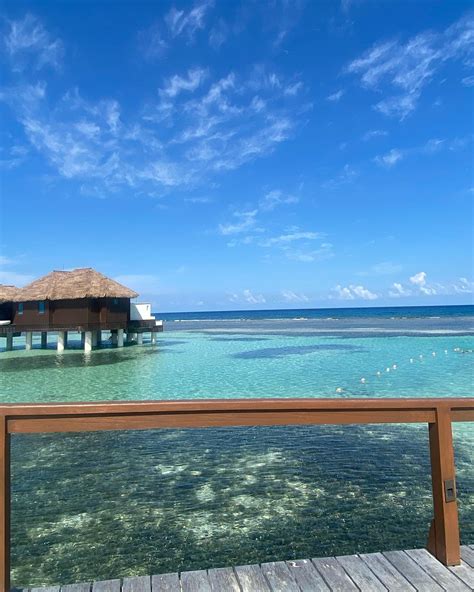 Candii Kayn | “Love the life you live 💛; Live the life you love 💚,” -Bob Marley 🇯🇲 #jamaica ...