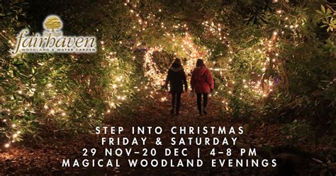 Festive Fairhaven Lights Walk, School Road, South Walsham, Norwich, 5 ...