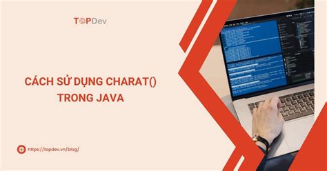 Charat Java Examples 的图像结果
