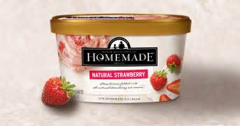 Homemade brand Ice Cream | Perspective Branding