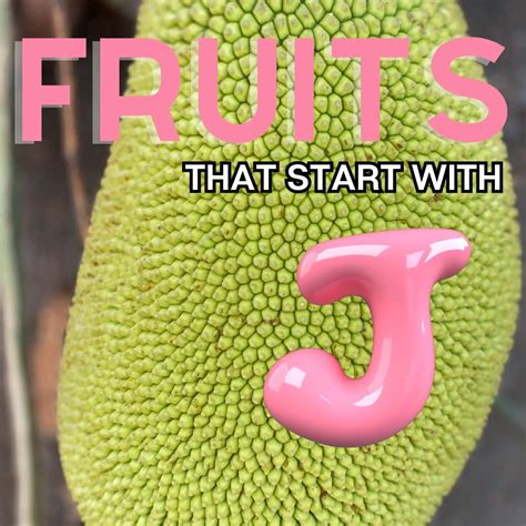 Fruits That Start With J: 21+ Fruits Beginning With The Letter J | Bake ...