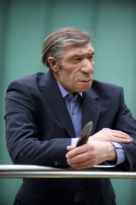 The ups and downs of neanderthal dna – Artofit