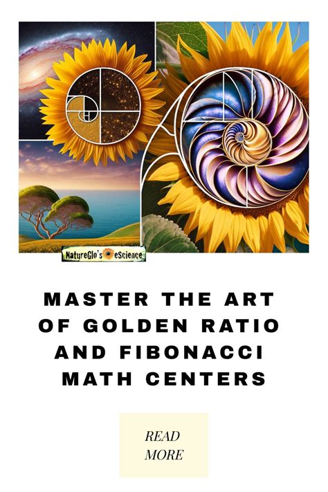 Beautiful Math Patterns 的图像结果