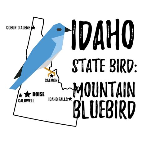 Idaho State Bird – My Store