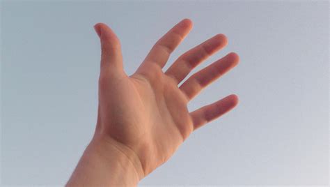 Los dedos de la mano en inglés - English Escool