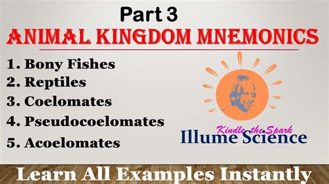 Mnemonics Examples 的图像结果