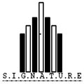 Signature Infra Estate - Lucknow Property Broker