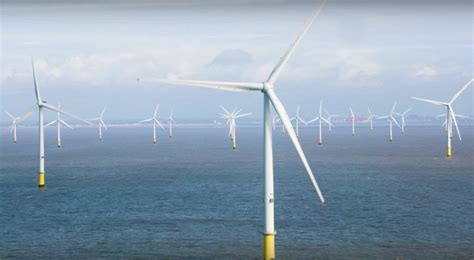 Image result for Angular Loading Indicator