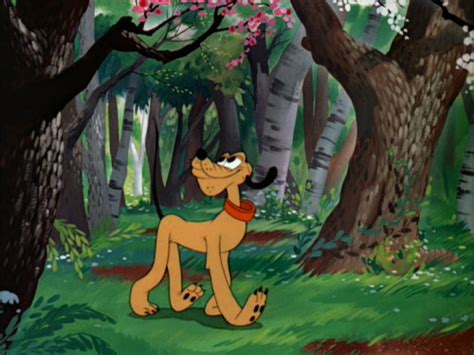 Image result for Springtime for Pluto