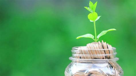 Personal loan interest rates: 7 key factors that impact your borrowing ...