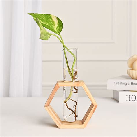 Hexagon- Test Tube Vase – DecorTwist