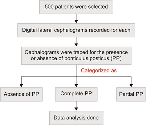 Ponticulus Posticus: An Important Diagnostic Finding Often Missed in ...