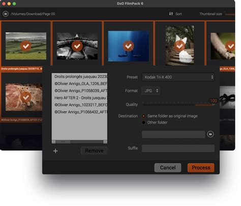 Image result for DxO FilmPack Tutorial