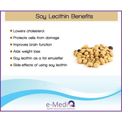 Soy Lecithin Side Effects