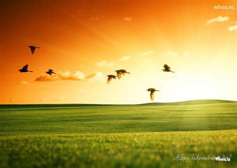 Happy Independence Day With Tri Colour Natural Background Wallpaper