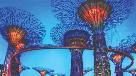 Kalaignar Centenary Park: A Modern Recreational Space with a Rich Legacy