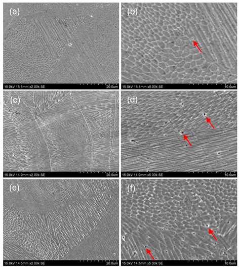 Impact of Aggressive Environments and Processing Orientation on the ...
