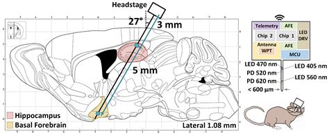 Wireless Photometry Prototype for Tri-Color Excitation and Multi-Region ...
