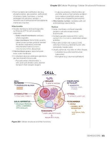 Image result for Cellular Structure and Function