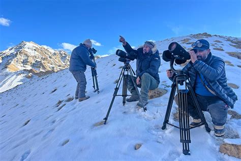 Shan At Uley: The 'Local' Snow Leopard Lodge | Nature inFocus