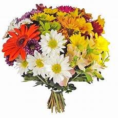costo mazzo di fiori mazzo primaverile invio fiori con le viaggiano costo mazzo di fiori mazzo primaverile invio fiori con le viaggiano