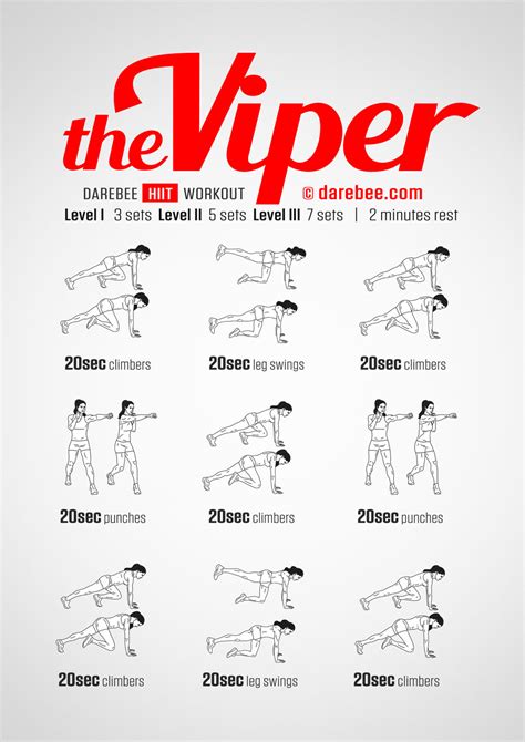 Image result for Viper Exercise