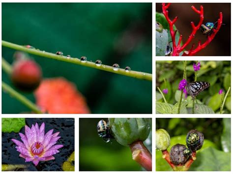 Stellar and DCP Expeditions Organizes Photo Work Shop