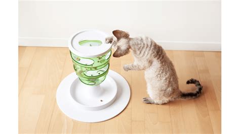 The Best Slow Feeders For Cats | Dog Product Picker