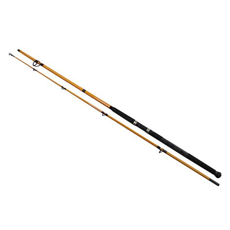 Daiwa FT Surf Spinning Rod