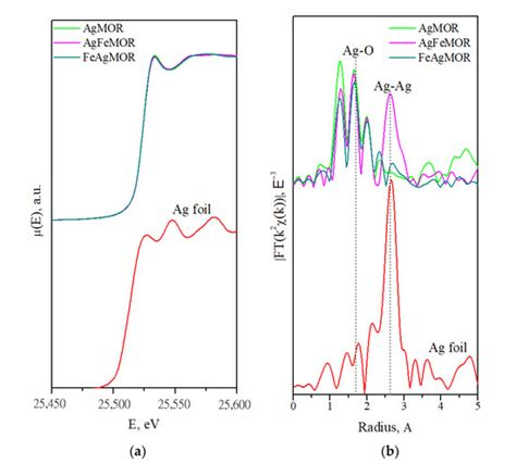 Influence of Components Deposition Order on Silver Species Formation in ...