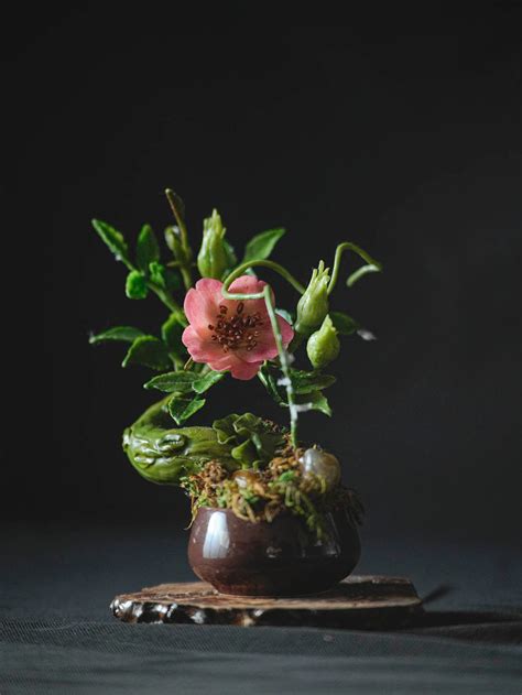 Round Ceramic Planter – Punarnawa Soul of Artistry