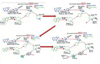 Image result for Cloning Process Explained