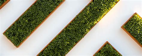 Image result for Splice vs Slice JavaScript