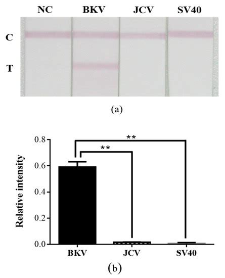 Development of a Nucleic Acid Lateral Flow Immunoassay for the ...