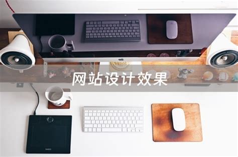 网站设计效果（网站设计效果专业乐云seo） - 韬略建站