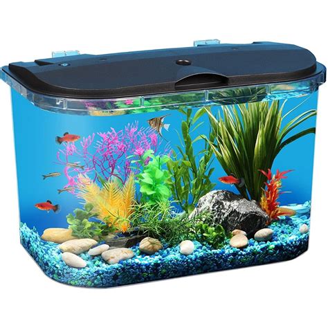 Best 5 Gallon Fish Tank for Bettas, Goldfish and More