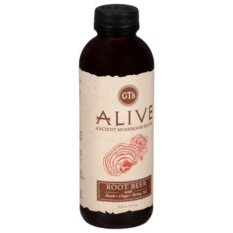 GT's Gt's Alive Ancient Mushroom Elixir Root Beer - 16.2 fl oz 16.2 fl ...