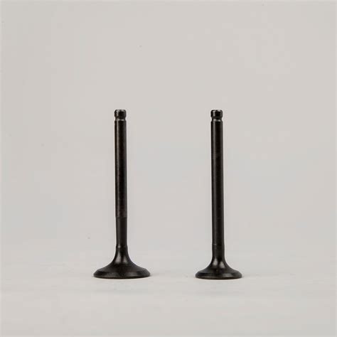 Valve Set XL100/Pep/Pep Plus | For TVS | Buy NV Spares | Genuine Parts ...